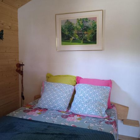 Chalet grenouille Champclause Extérieur photo