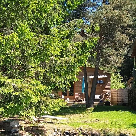Chalet grenouille Champclause Extérieur photo
