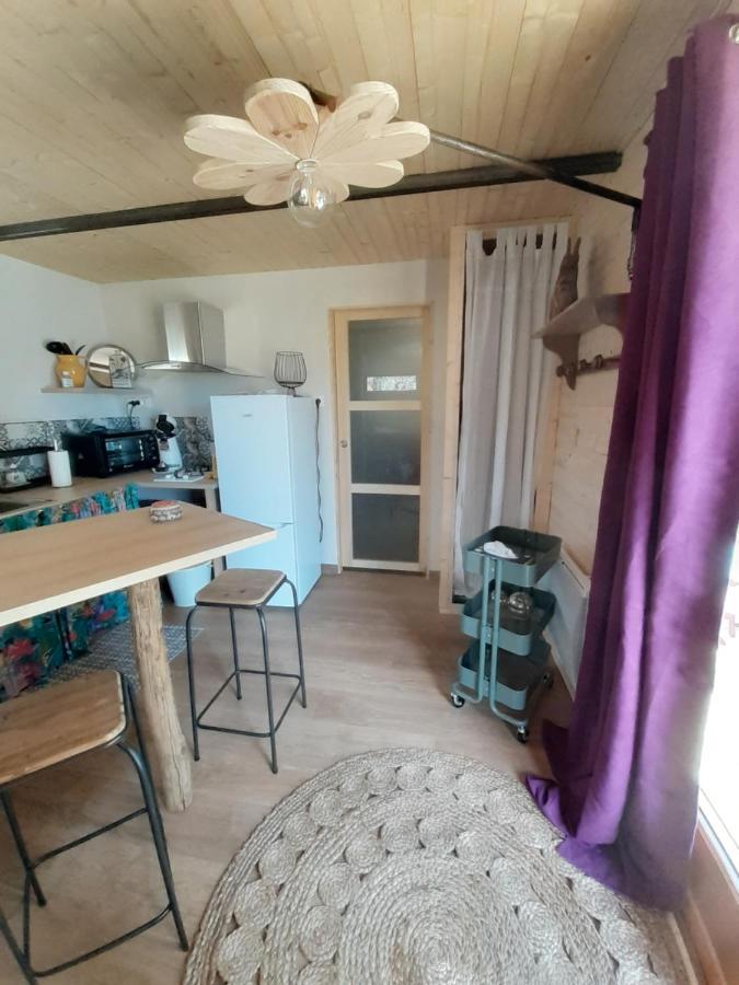 Chalet grenouille Champclause Extérieur photo