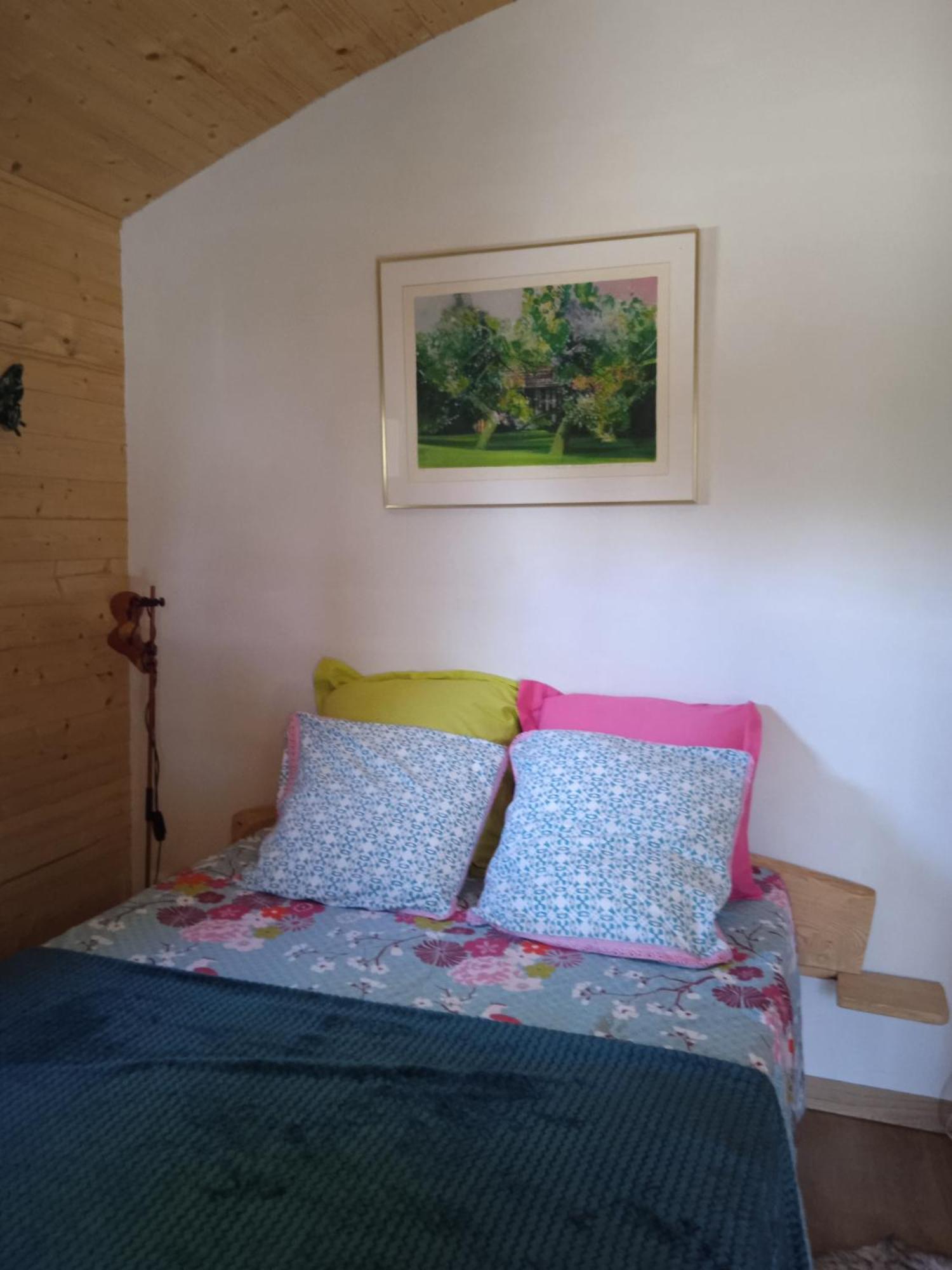 Chalet grenouille Champclause Extérieur photo