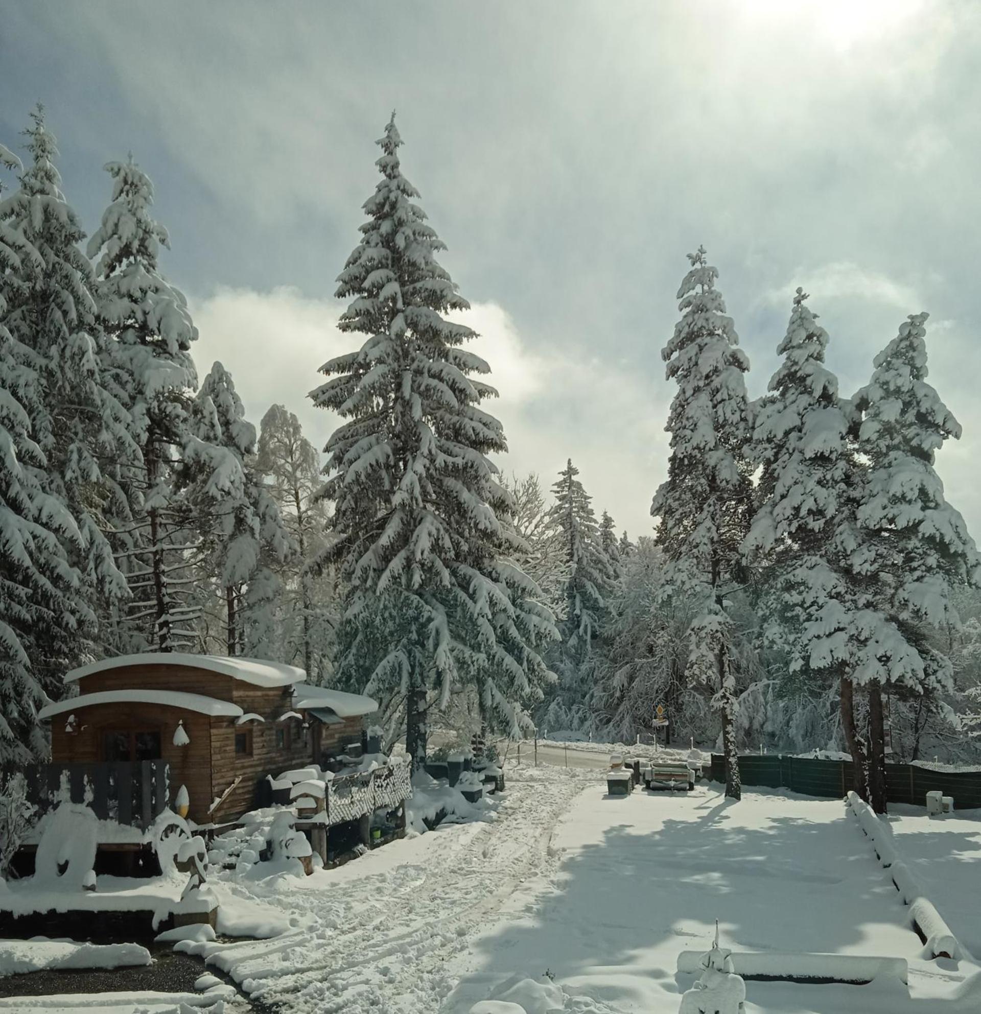 Chalet grenouille Champclause Extérieur photo